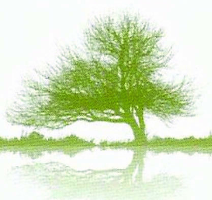 Sophrologie du pays d'Apt